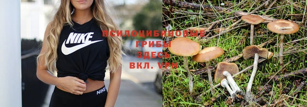 метадон Алексин